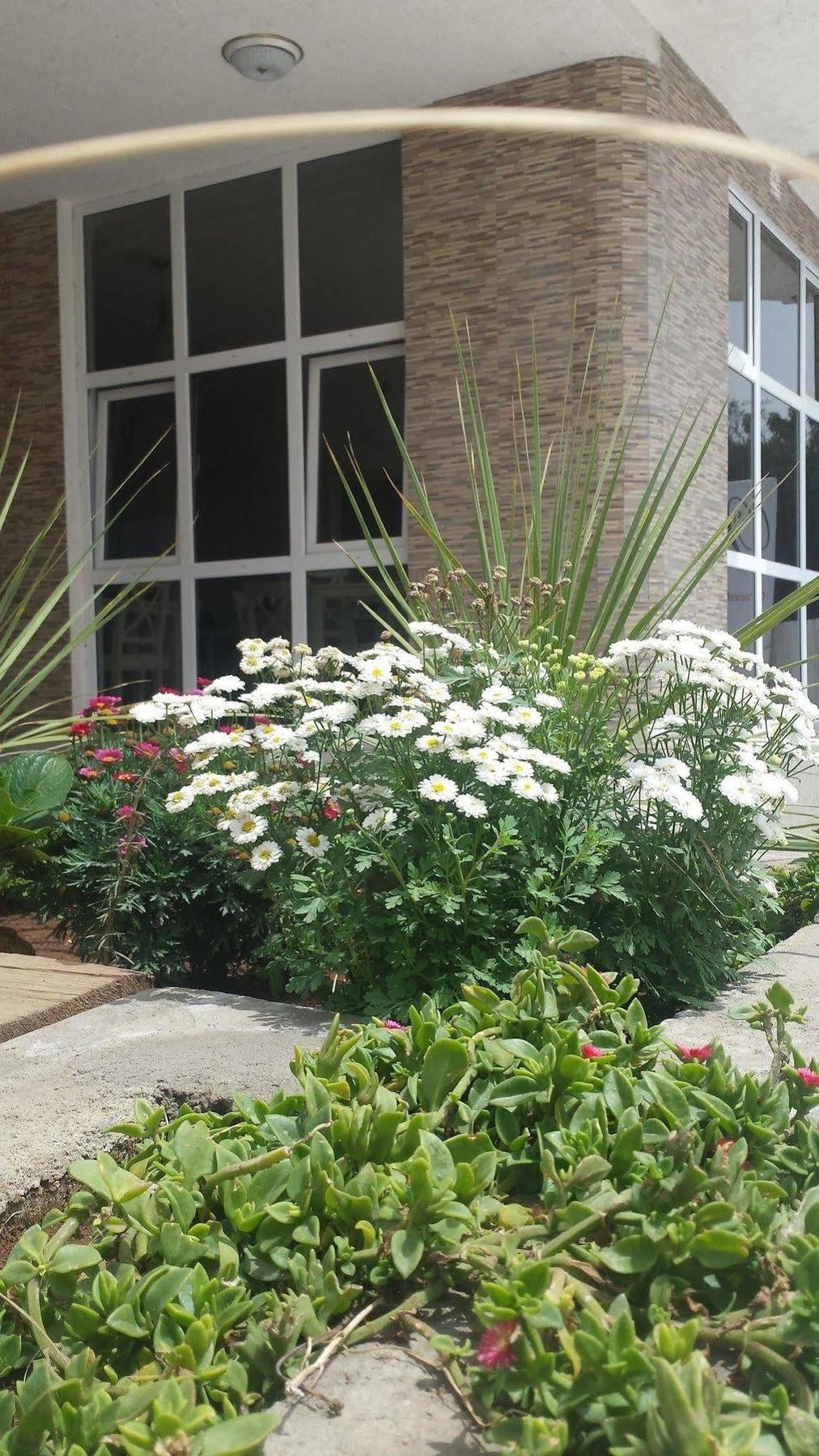 White House Addis Hotel 외부 사진